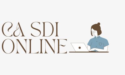 CA SDI ONLINE