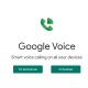 Google voice