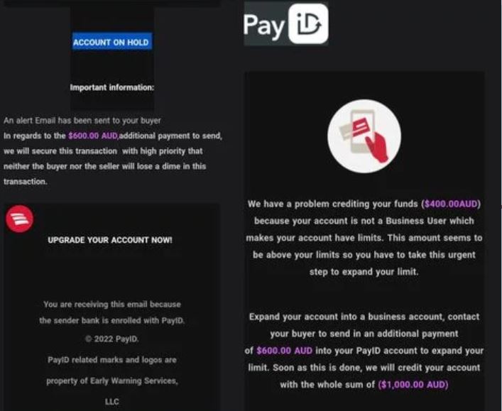 payid marketplace scam