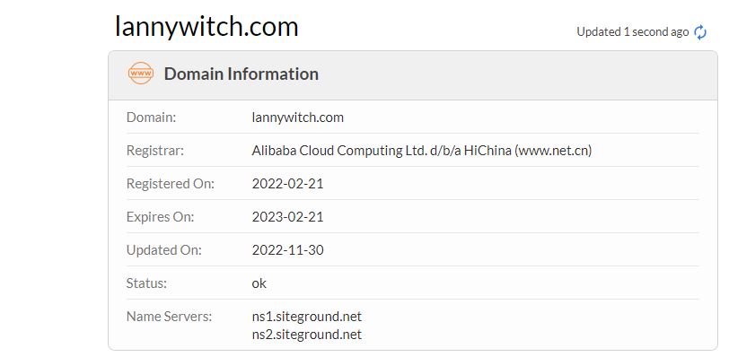 Lannywitch whois