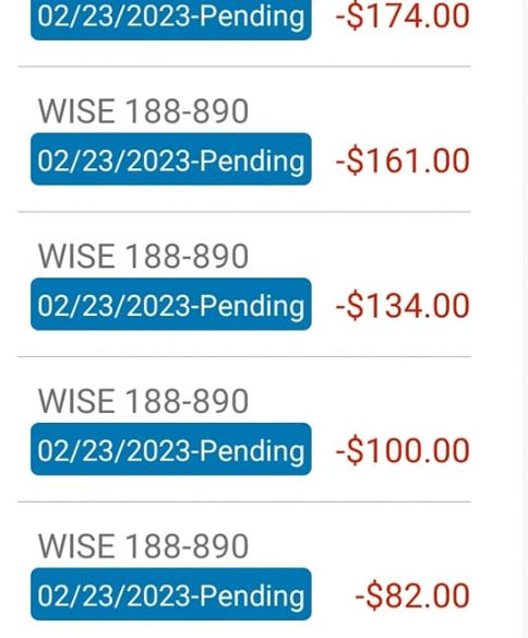 Wise 188-890 charge 