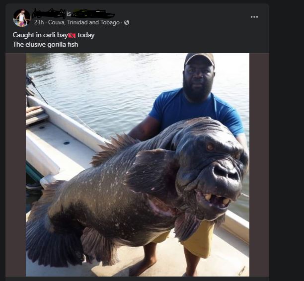 Elusive Gorilla Fish