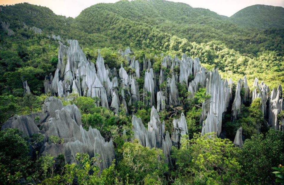 Gunung Mulu National Park