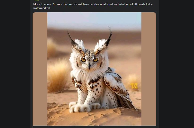 Lynx owl