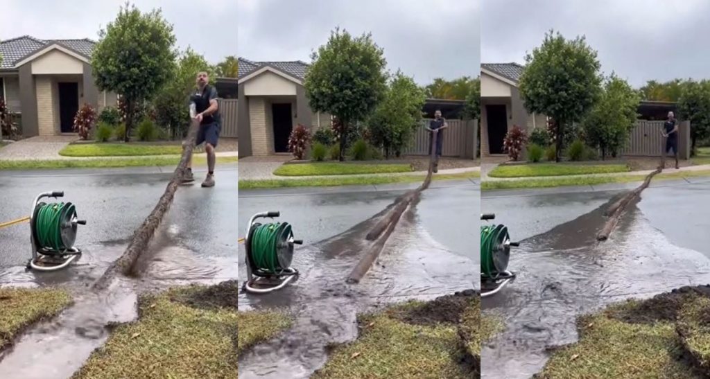 Tim The Lawnmower Man pulling out a giant lawn worm