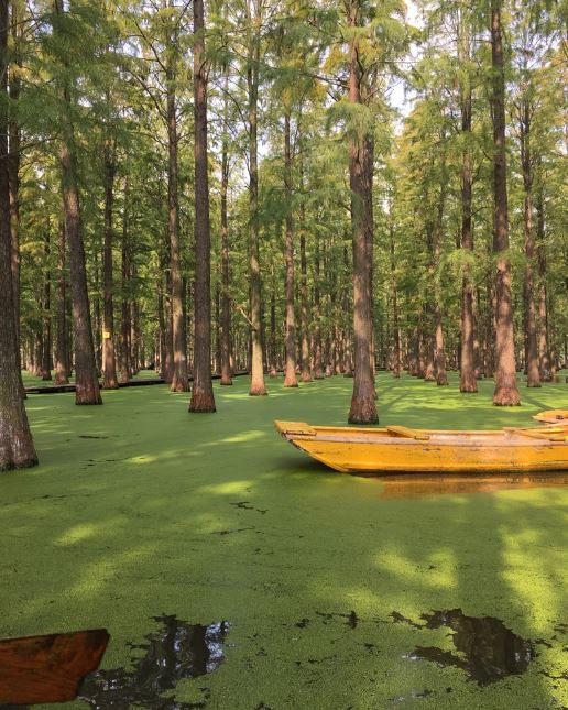 Haoyang Lake Wetland Park in China