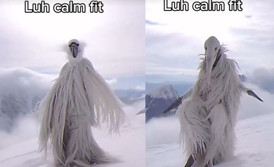 Luh calm fit meme